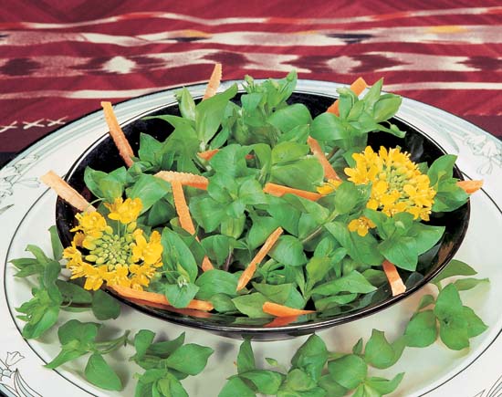 Scarlet Pimpernel