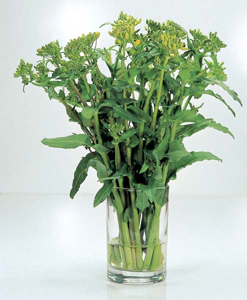 Glucosinolates & Isothiocyanates