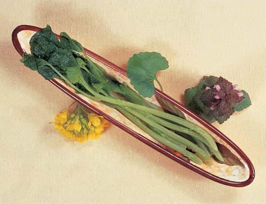 Permission to Harvest
