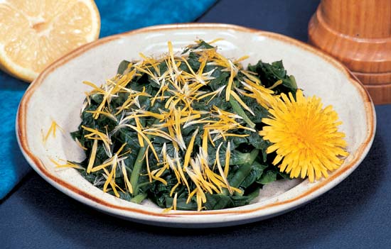Chiffonade