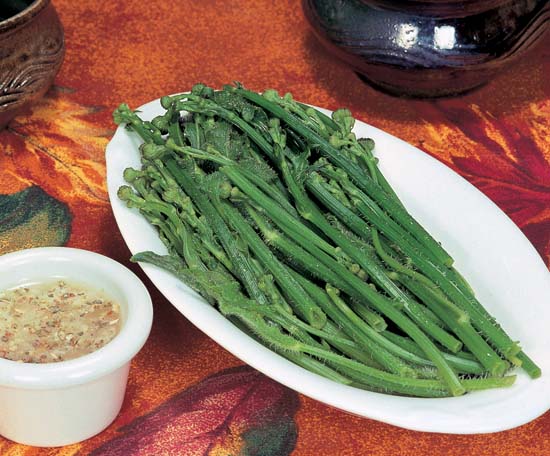 Managing Bitterness into Enjoyable Flavors